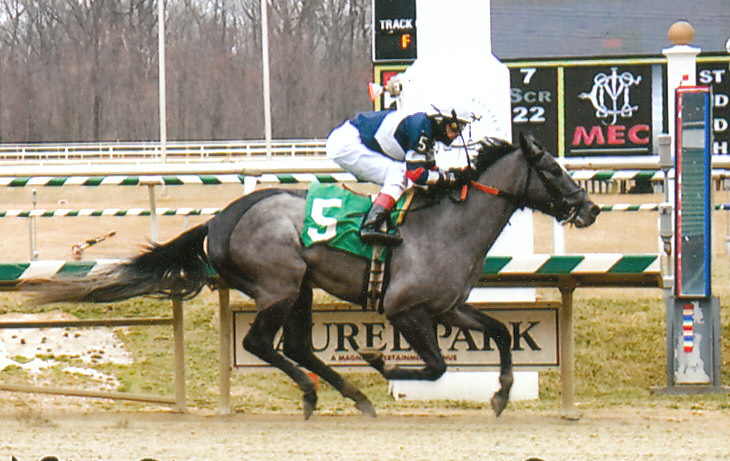 Breeding, Training, Racing, and Reschooling Thoroughbreds in the Mid-Atlantic
